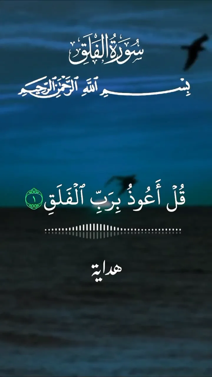 فيديو منشور